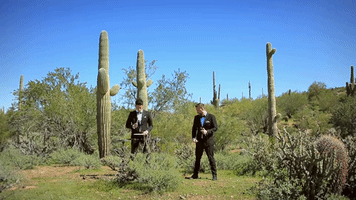 pulling me in GIF by Phantoms