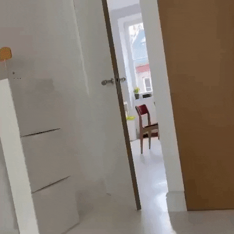 cuteanimalland giphyupload GIF