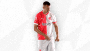 Football Sport GIF by SK Slavia Praha