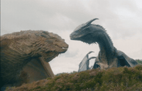 House Dragon GIF