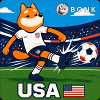 United States Of America Football GIF by BONK