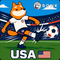 Crypto Usa GIF by BONK