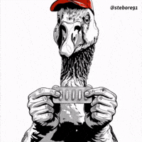 Trump Usa GIF