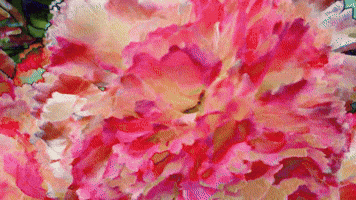 Emergencia Verde (2017)