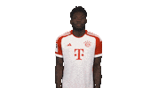 Fc Bayern Shrug Sticker by Bundesliga