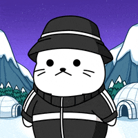 SappySeals cute confused huh idk GIF