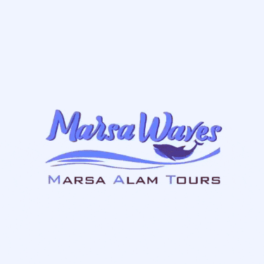Marsa_waves giphygifmaker giphygifmakermobile egypt dolphin GIF
