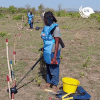 United Nations Peace GIF by UN Peacekeeping