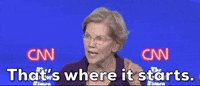 Elizabeth Warren GIF by GIPHY News
