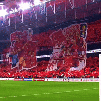 Futbol Kutlama GIF