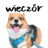 Corgi Polish Sticker