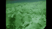 Film Vintage GIF
