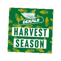 Corn Harvest Sticker by DEKALB Asgrow Deltapine