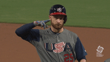 Saluting Team Usa GIF by MLB