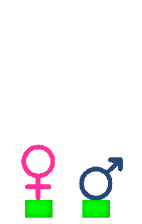 Women Gif Artist Sticker