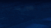 ragingbully rb stocks stonks options GIF