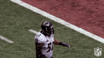 Celebrate Super Bowl GIF by NFL