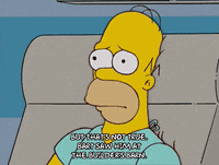 homer simpson GIF