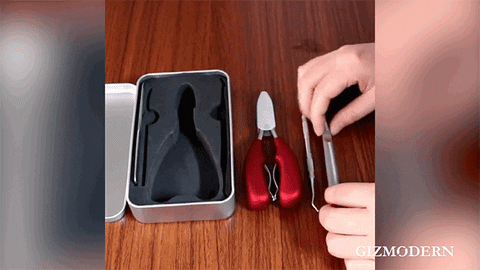 GizModern giphyupload GIF