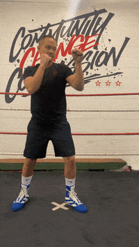 quinitboxing  GIF