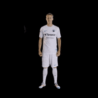 Nicolas Palecnahoru GIF by FC Slovan Liberec