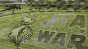 star wars rice GIF by Digg
