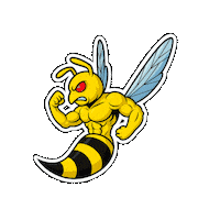 Triathlon Sticker by Tri Team 1.USC Traun