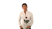 Date Seduction Sticker by De Mediatuin