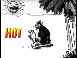 Summer Vintage GIF by Fleischer Studios