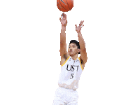 University Santo Sticker by UST Growling Tigers