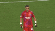 Football Soccer GIF by FC Schalke 04