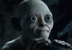 I Dont Know Lord Of The Rings GIF by slicedbread