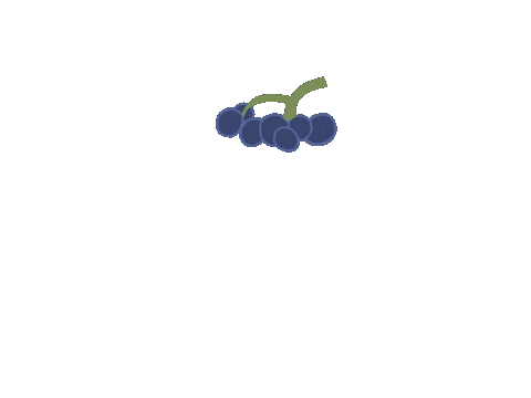 Red Wine Grape Sticker