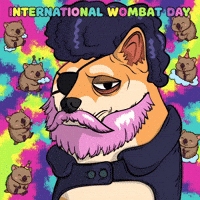Unimpressed Shiba Inu GIF by Doge Pound