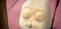 angrybirds cute please need blues GIF