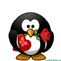 Sorry I Love You Sticker by echilibrultau