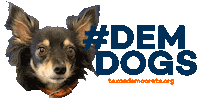 texasdemocrats texas debate tx demdebate Sticker