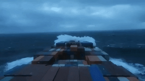 GIF by tomcjbrown