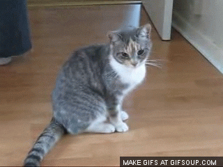 sleepy GIF