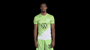 Germany Deal With It GIF by VfL Wolfsburg