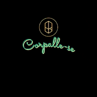 ClinicaCorpalle momento corpalle clinicacorpalle GIF