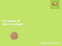 Playa Kiwi GIF by Zespri España