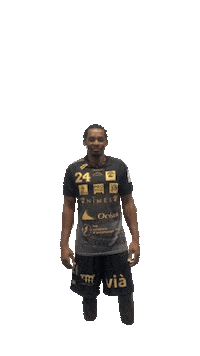 Europe Handball Sticker by USAM NIMES GARD
