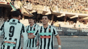 Celebration GIF by Ascoli Calcio 1898