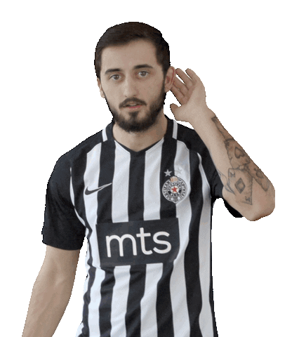 Partizan Sticker by sportmts