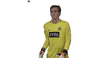 Partizan Sticker by sportmts