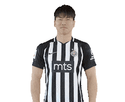 Partizan Sticker by sportmts