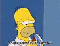 homer simpson reading GIF