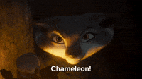 Chameleon!