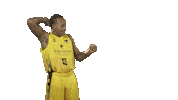 Liga Endesa Basketball Sticker by ACB